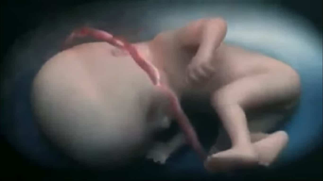 Właśnie to dzieje się z DZIECKIEM kobiety, która w czasie ciąży PALI! To nagranie udowadnia, że PAPIEROSY mogą zabić naszego MALUSZKA! (wideo)